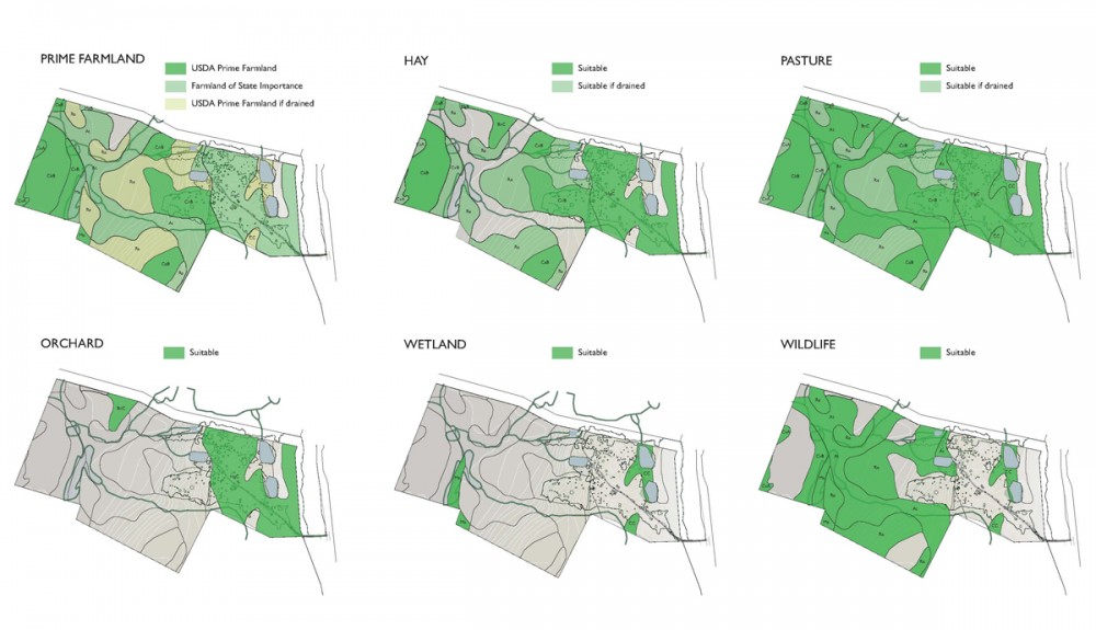 soil mapping