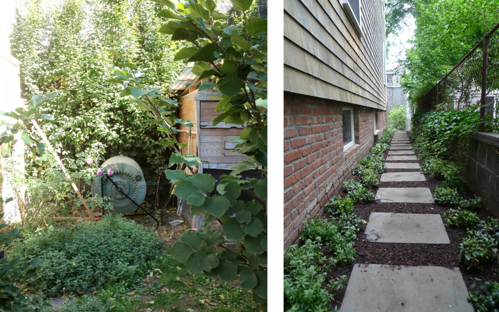 compost area and woodland walk