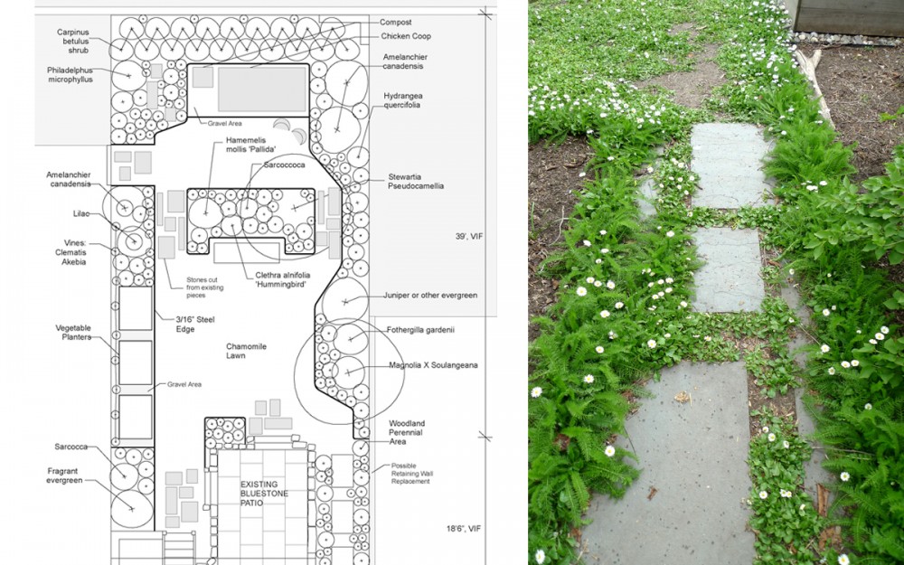 planting plan and steppable plants